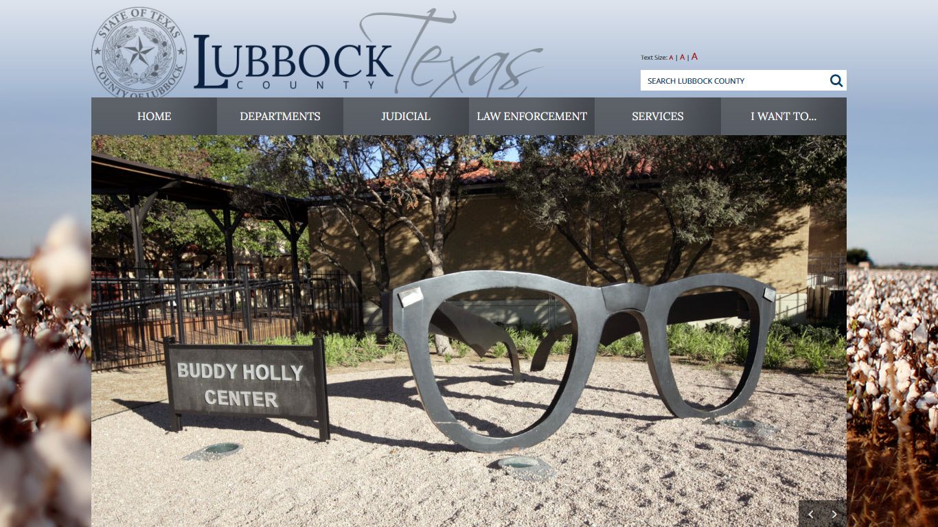 Online Access to Court Records - Lubbock County